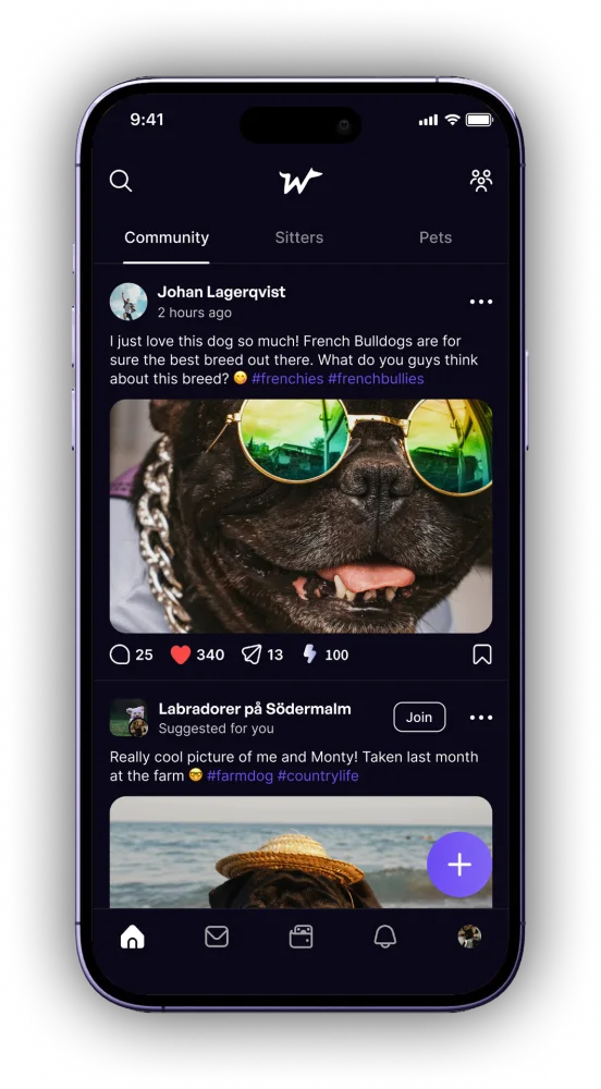 Community feed showing pet posts